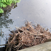 Small_thumb_67b841b81de37f07042f_debris