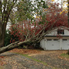 Small_thumb_6d747add6484d4ff20e7_mad1