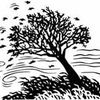 Small_thumb_772a9389063f81dfeeba_windy_tree