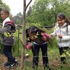 Small_thumb_7c6b42573abc57eb928b_paterson_field_trip_at_city_green_g_0416