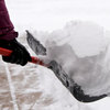Small_thumb_7eaeffe6508ef39fb5a2_snow_shovel