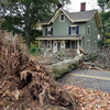 Small_thumb_81f6d20195e5f31b4494_so_tree_on_prospect