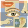 Small_thumb_8c5766601bc3621f292d_5senses