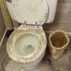 Small_thumb_a61e92a8f28ece902a92_toilet