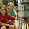 Small_thumb_ad009bcf404025991d12_shelter_donation
