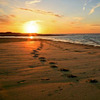 Small_thumb_aeebe186a82d03fdbf57_beach-walk
