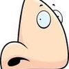 Small_thumb_af56c47fe3dc1e6bc4a2_nose2
