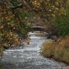 Small_thumb_bf026d32d59a372ed293_img_0322