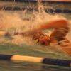 Small_thumb_ca469f86ad31452e74e7_dsc_0311_1_.jpg
