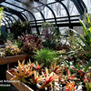 Small_thumb_ce82cbbd926d75c8ba63_rra_greenhouse2