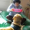 Small_thumb_e189251eed59c5498e38_ginophoto