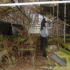 Small_thumb_e439b78bfbfb99b06b59_dsc09935