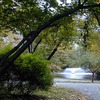 Small_thumb_e79a90972cdf176bc21a_mindowaskin_by_debby