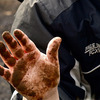 Small_thumb_e87b37a2c635424bacc8_harrison_daffodil_hand