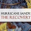 Small_thumb_ec58c26b03142a12dff2_sandy_recovery