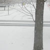 Small_thumb_f6bf73a0aaa858cfb7cc_kathy_photo