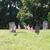 Tiny_thumb_9c6bb775ecfd975aa504_cutoff_058