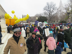 Top_story_a6aff116a183519a89dd_crowd