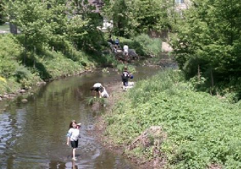 Top_story_ad707770380c31d20e44_river_day_cleanup