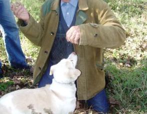 Piemonte, Land of Barolo, Barbaresco, White Truffles and Much More! Photo