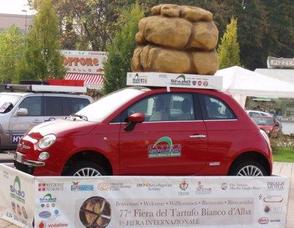 Piemonte, Land of Barolo, Barbaresco, White Truffles and Much More! Photo