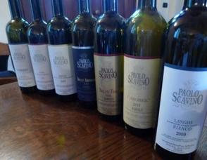 Piemonte, Land of Barolo, Barbaresco, White Truffles and Much More! Photo