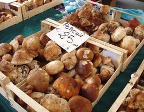 Piemonte, Land of Barolo, Barbaresco, White Truffles and Much More! Photo