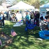 Small_thumb_09d0d2507d079dd9d3c7_greenfair