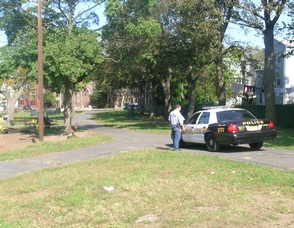 Roberto Clemente Park Murder