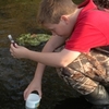 Small_thumb_4c97ef372a1b6a14e102_170gswamp_ts2
