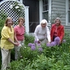 Small_thumb_1cc5df1ce823757d6bda_847gardentt_ts2