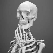 Carousel_image_98a846e327d079b0534e_carousel_image_394cc0778dd88278f32f_indecisive-skeleton500