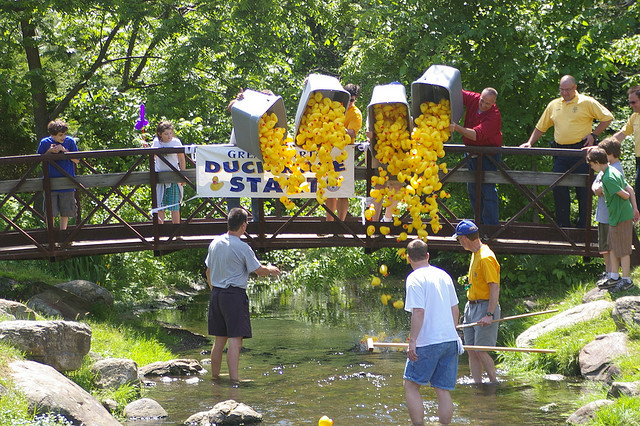 06de287b100baca020aa_Great_Sparta_Duck_Race__640x426_.jpg