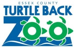 d7606257a63213faf89f_turtle_back_zoo.jpg