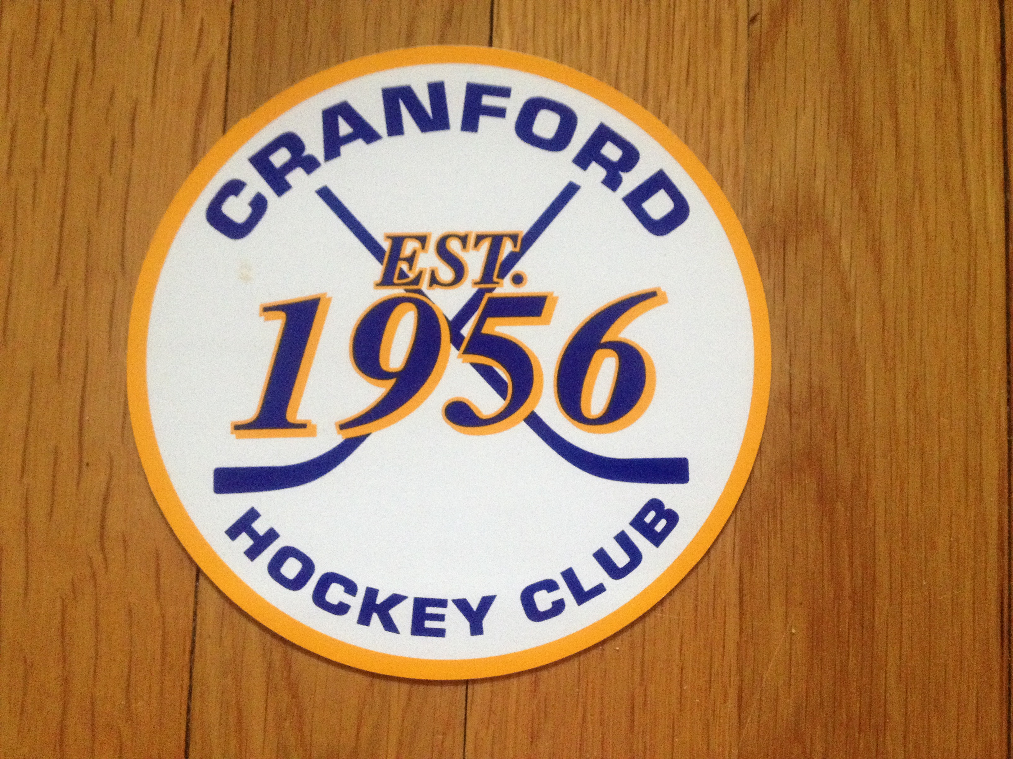 be32c6fd2d872e8d257e_5a8013298a29f71c6655_hockey_club.jpg