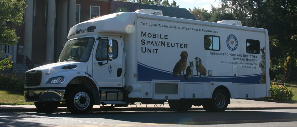 Neuter Your Dog For Free In Nj Neuter Your Dog For Free In Nj