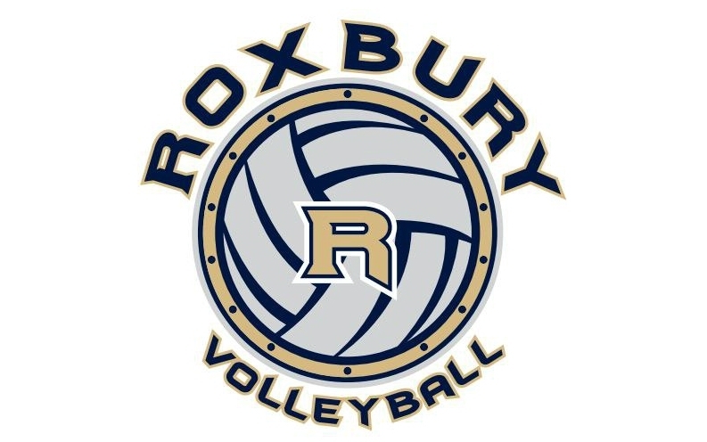 558a47c398b879afca8d_b7648394bc8bd319fe26_roxvballlogo.jpg