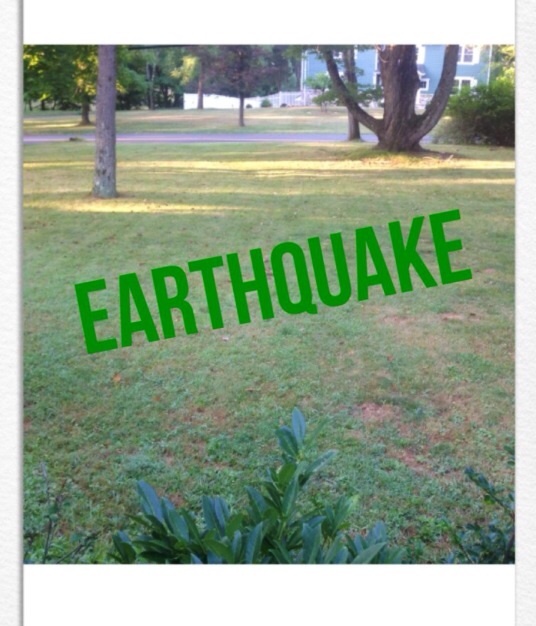 4923e36a6f8120974989_image.jpg