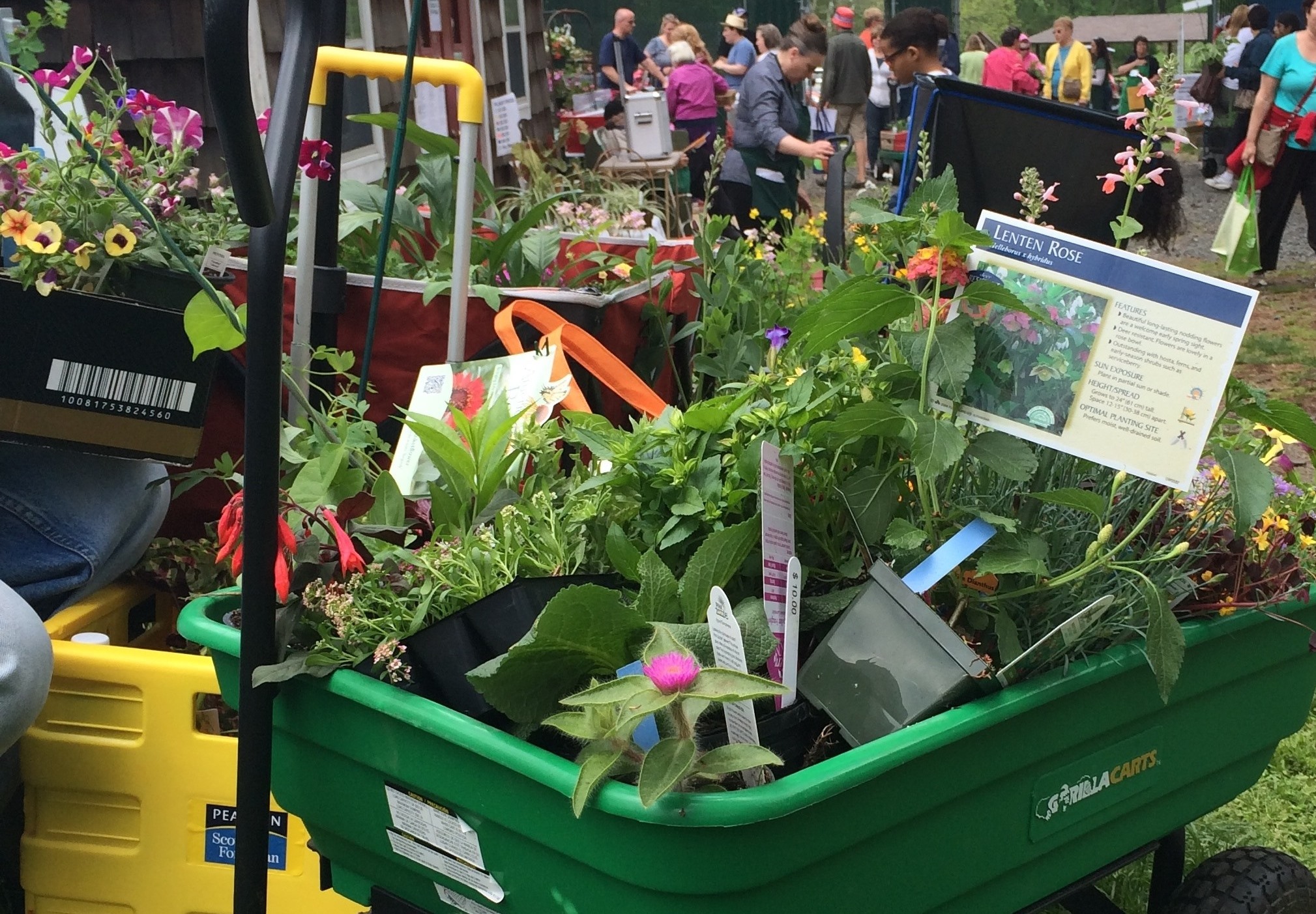 ea049b8ff44f9fa28334_spring_garden_fair_wagon__cropped_.jpg