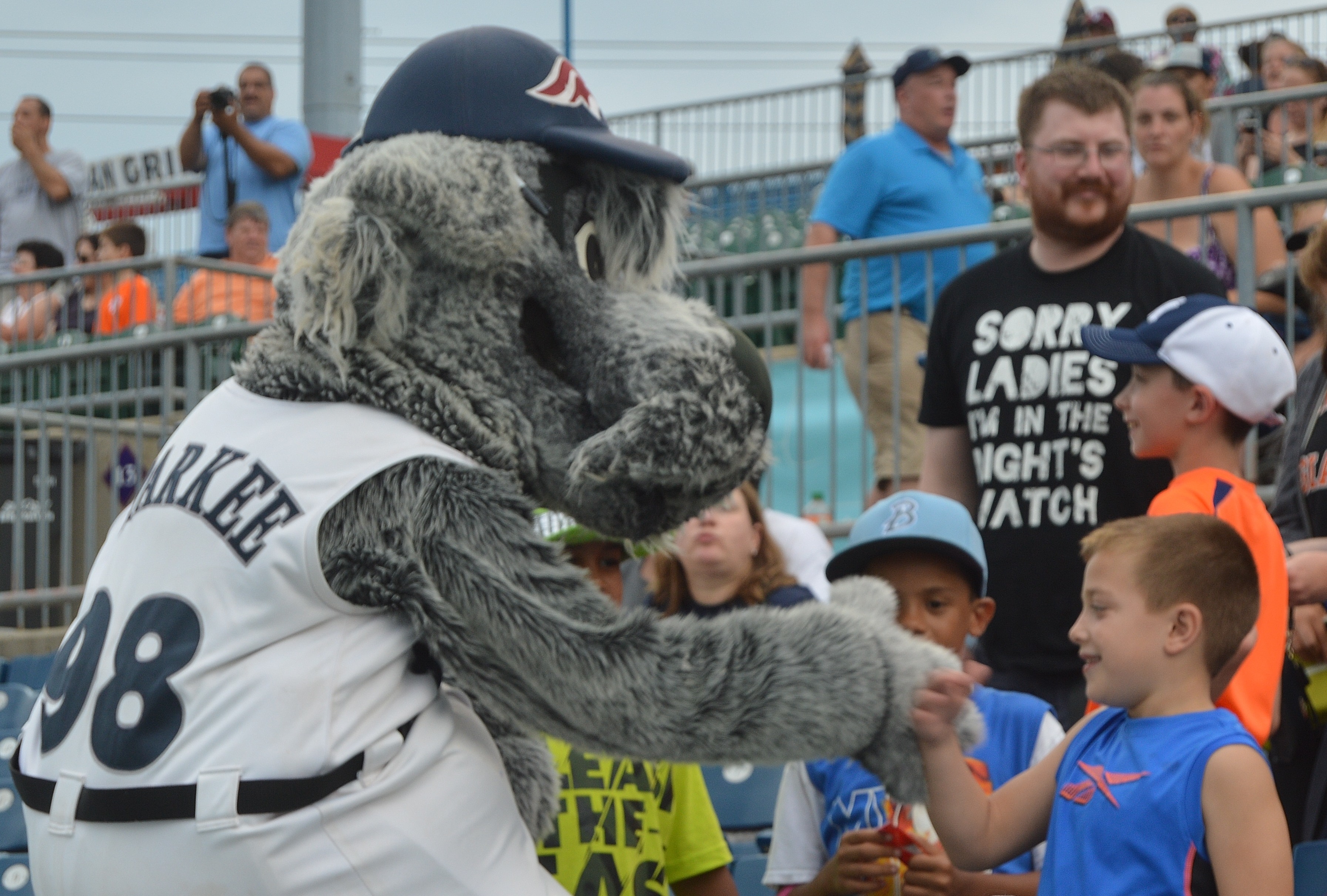 Somerset Patriots in Atlantic League Playoffs TAPinto