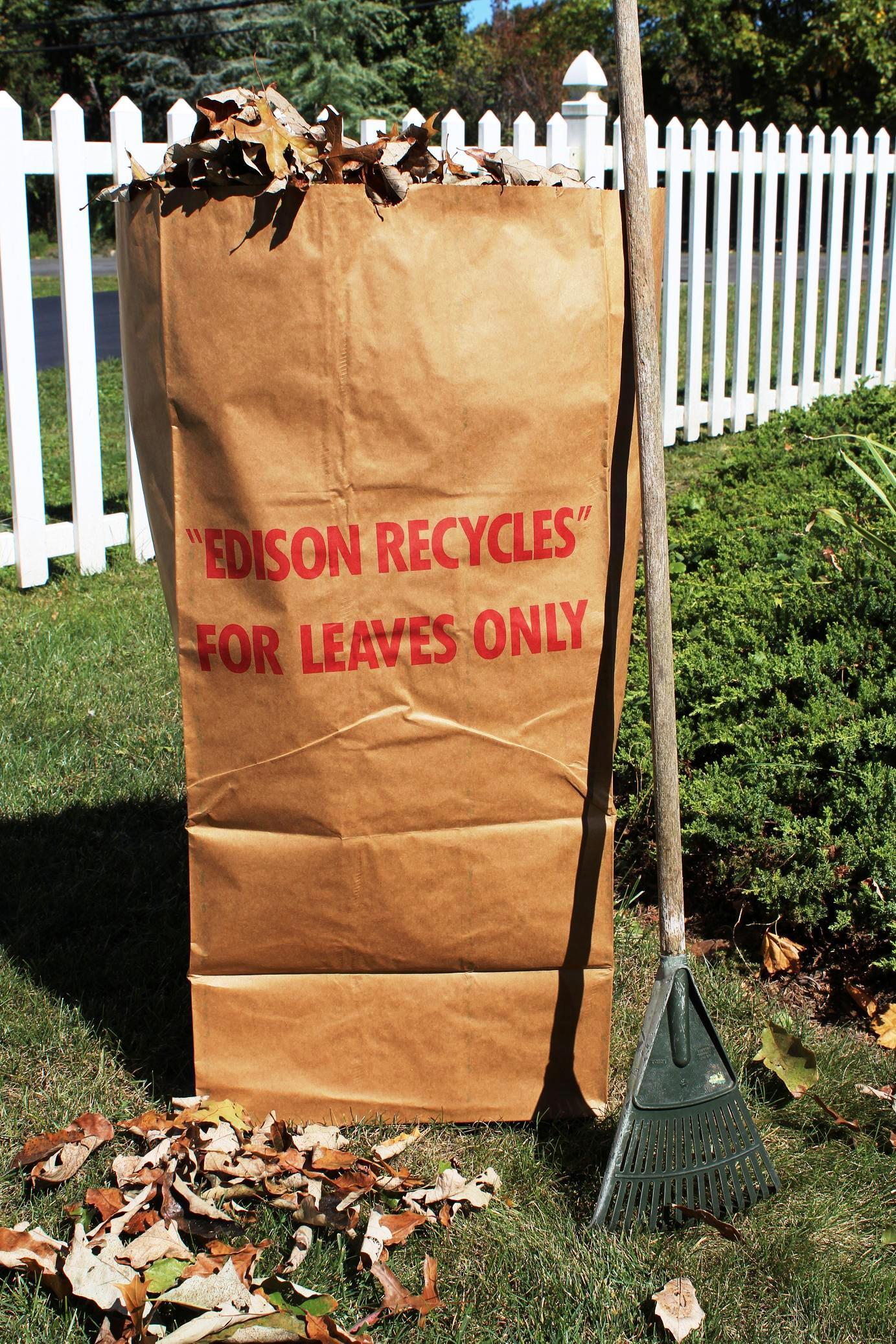 00de2642e28d3ff1b97f_Edison_Leaf_Bag.jpg