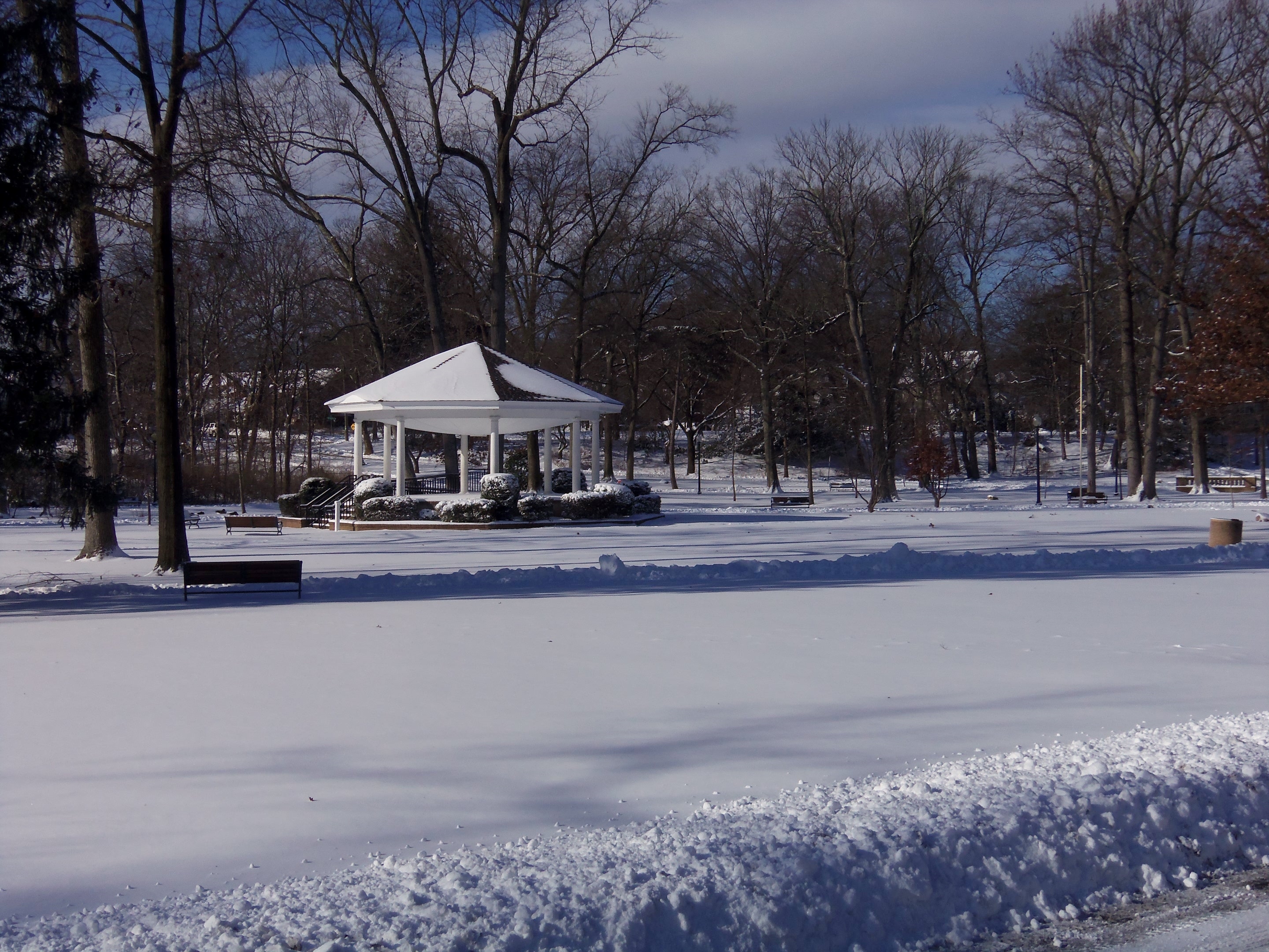 1df52a0d7d664bfee3a2_snowpics_001a__2_.jpg