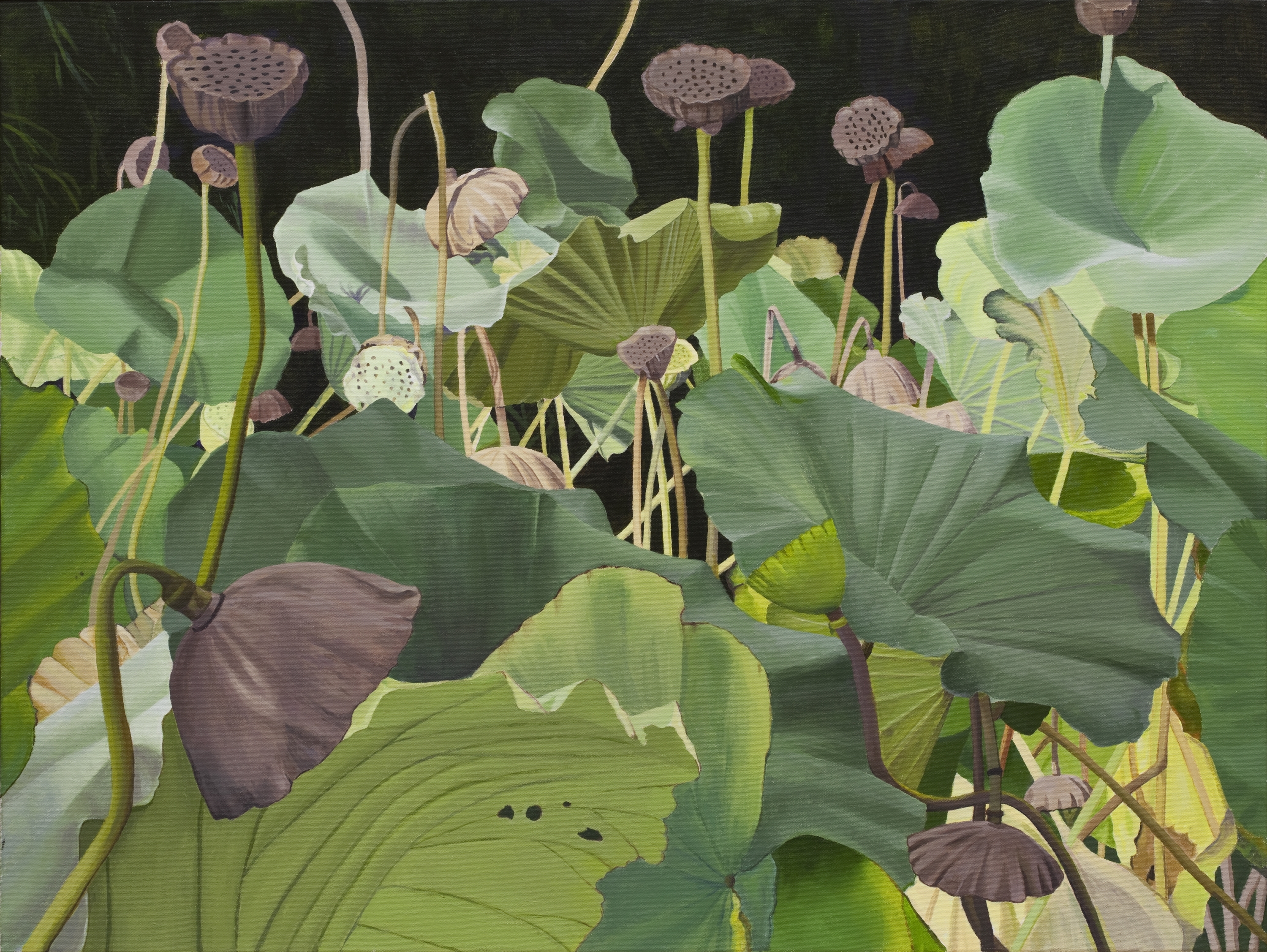 07c94ff78d123284a7fe_DPiotrowski__Lotus_30x40__748.jpeg