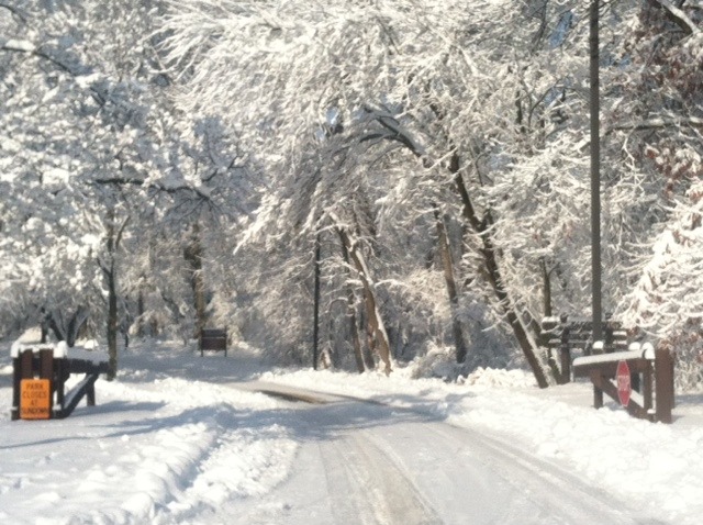 e13015f9ed50de54871a_snow.jpg