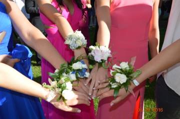 1c07da292a6e75f5ae81_prom15.jpg