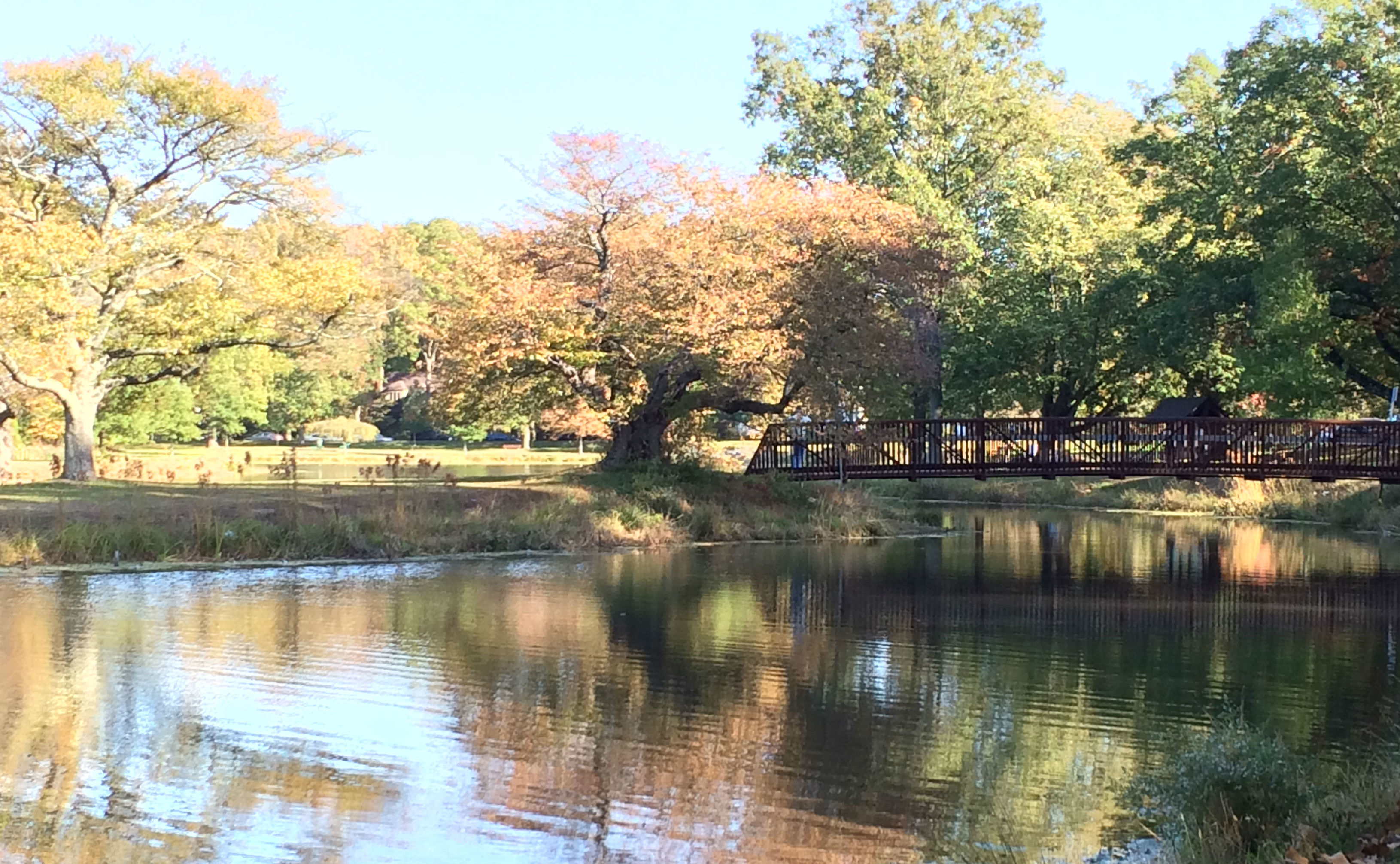 87369a2ee1b45b83de49_9d7ab70b61fa02717313_fall_nomahegan.jpg