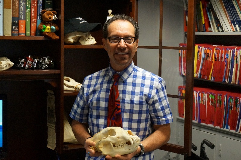 c81f89ad1e14941ff1fd_Dr_Geron_Dentist__800x532_.jpg