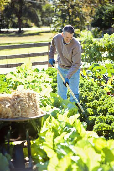 b89e60a904015d3fc963_gardening.jpg