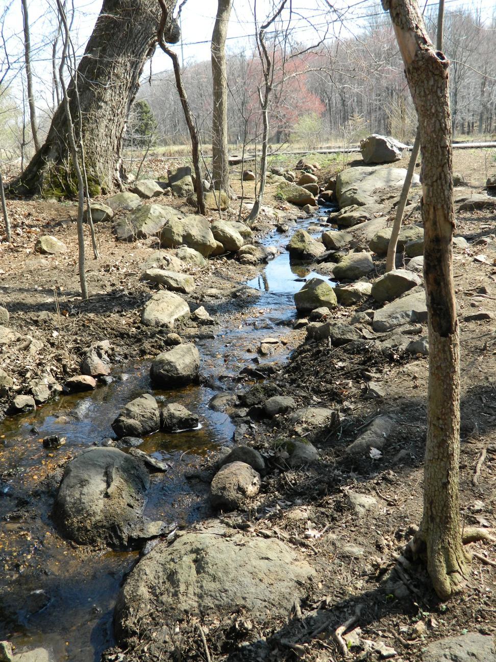 c1ada889aaf3fabf521a_stream.jpg