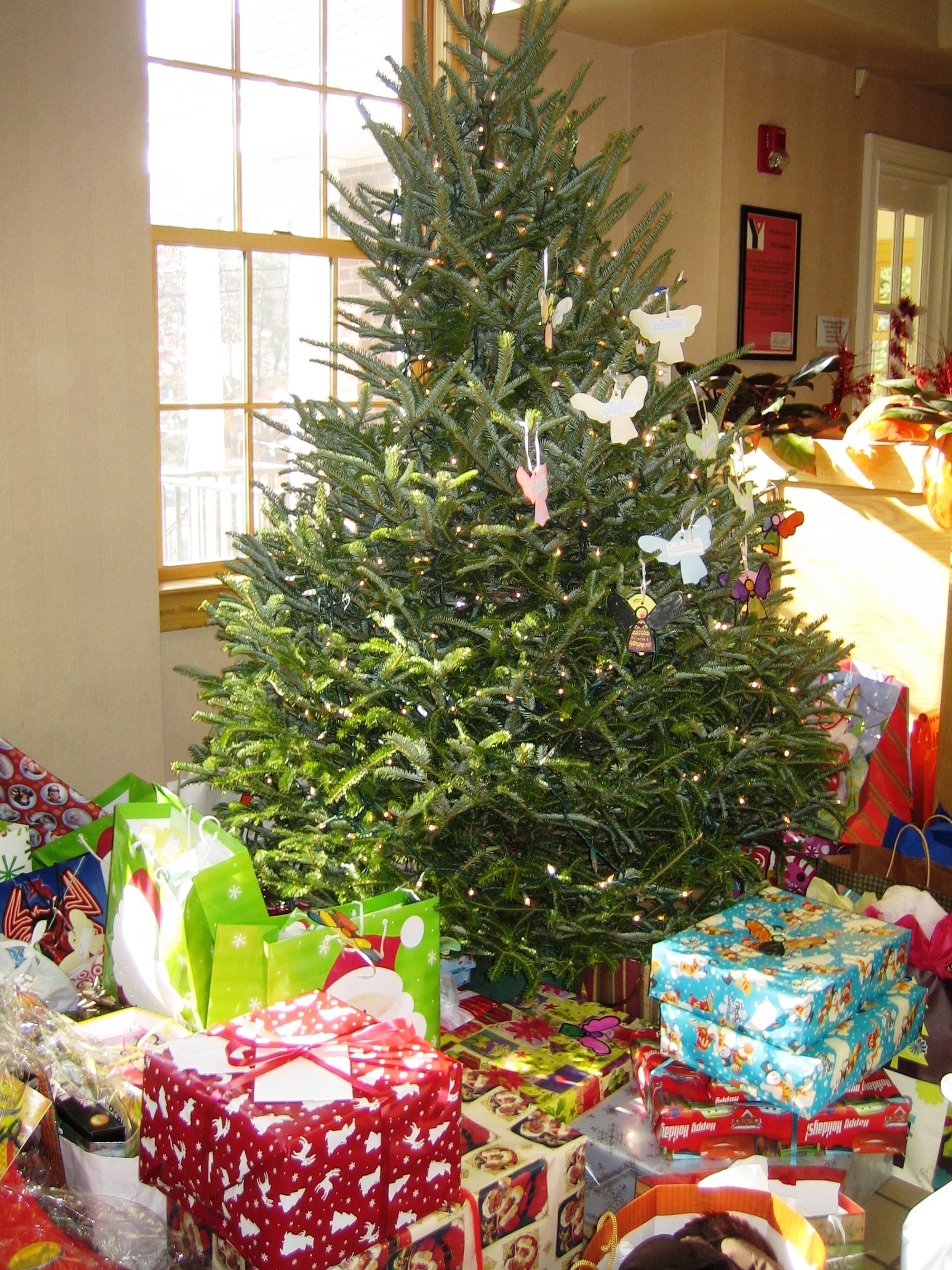 1def0f051f254c8c7a75_ANGEL_TREE_PHOTO_for_Nov_2014_Giving_Release.jpg